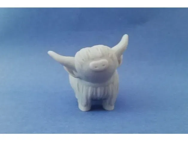 Bò cao nguyên con dễ thương trẻ tuổi - Image 4