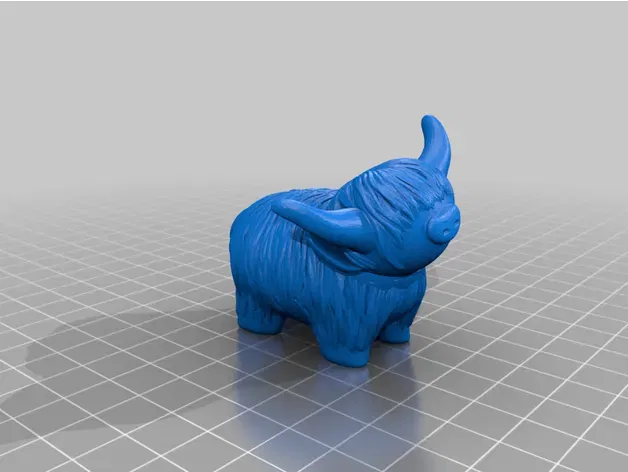 Bò cao nguyên con dễ thương trẻ tuổi - Image 5