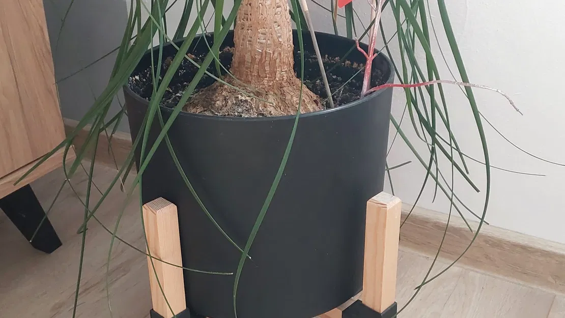 Giá đỡ chậu hoa bằng gỗ thông 20x20mm - Image 1