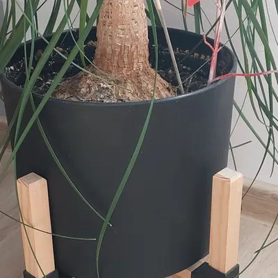 Giá đỡ chậu hoa bằng gỗ thông 20x20mm