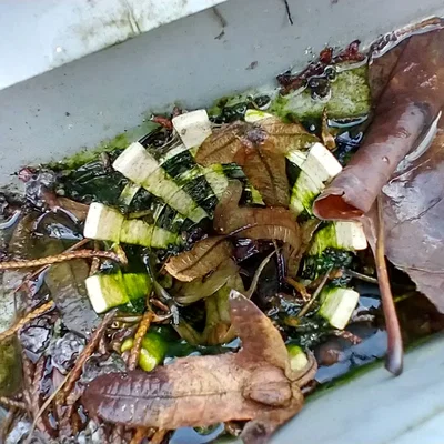 Hệ thống thu gom nước mưa Marley Regenrinne (Kastenrinne)