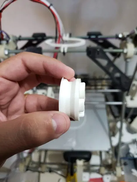 Dấu chân thỏ cho săn trứng Phục Sinh - Image 2