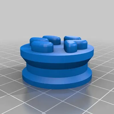 Dấu chân thỏ cho săn trứng Phục Sinh