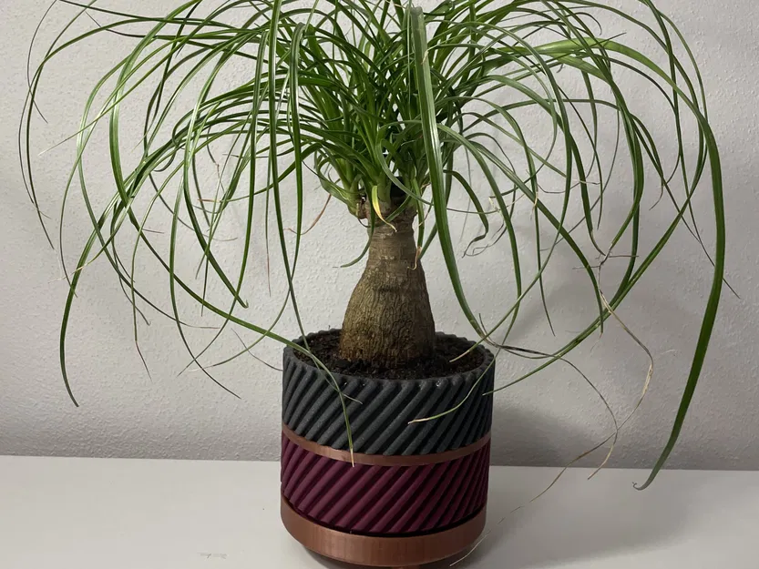 Chậu cây có tay cầm độc đáo - Image 1