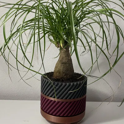 Chậu cây có tay cầm độc đáo