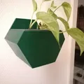 Chậu cây treo tường hình lục giác đơn giản - Thumbnail 1