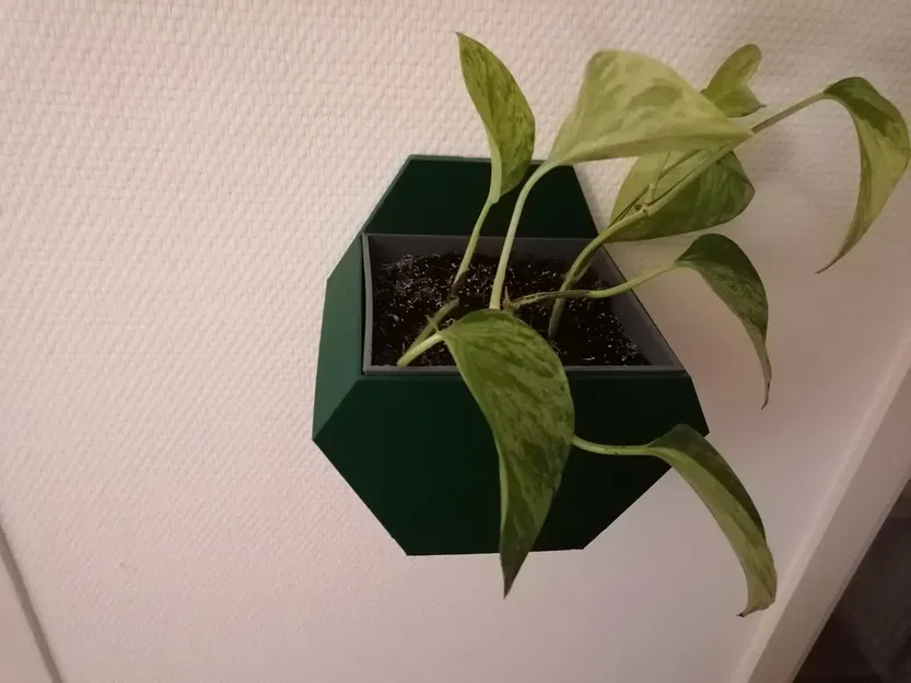 Chậu cây treo tường hình lục giác đơn giản - Image 2