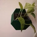 Chậu cây treo tường hình lục giác đơn giản - Thumbnail 2