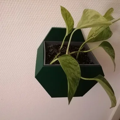 Chậu cây treo tường hình lục giác đơn giản
