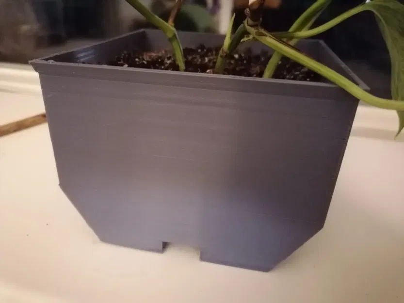 Chậu cây treo tường hình lục giác đơn giản - Image 5