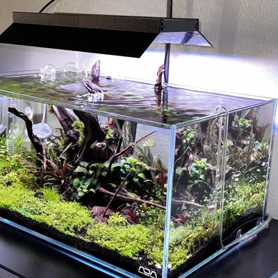 Giáp bảo vệ ánh sáng LED cho bể cá Twinstar III 300S