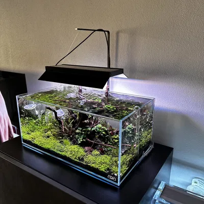 Giáp bảo vệ ánh sáng LED cho bể cá Twinstar III 300S