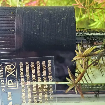 Bộ lọc mặt nước cho bể cá có bảo vệ tôm tép