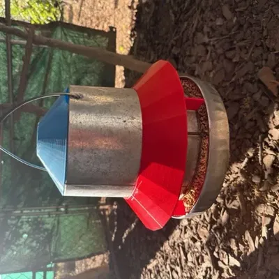 Thiết bị chặn chim hoang dã cho máng ăn gia cầm