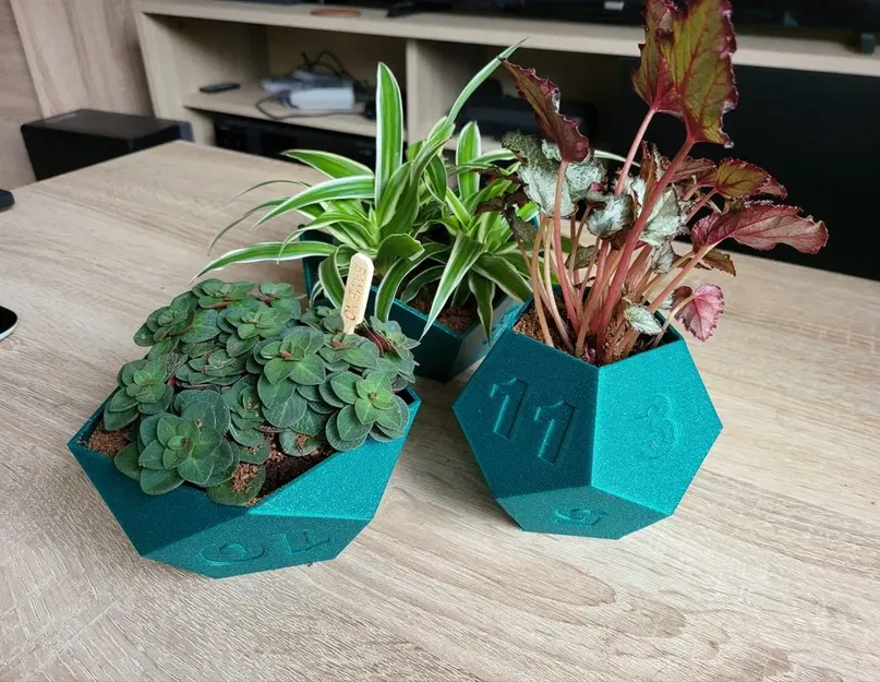 Bộ chậu cây hình xúc xắc cho trò chơi bàn RPG - Image 1