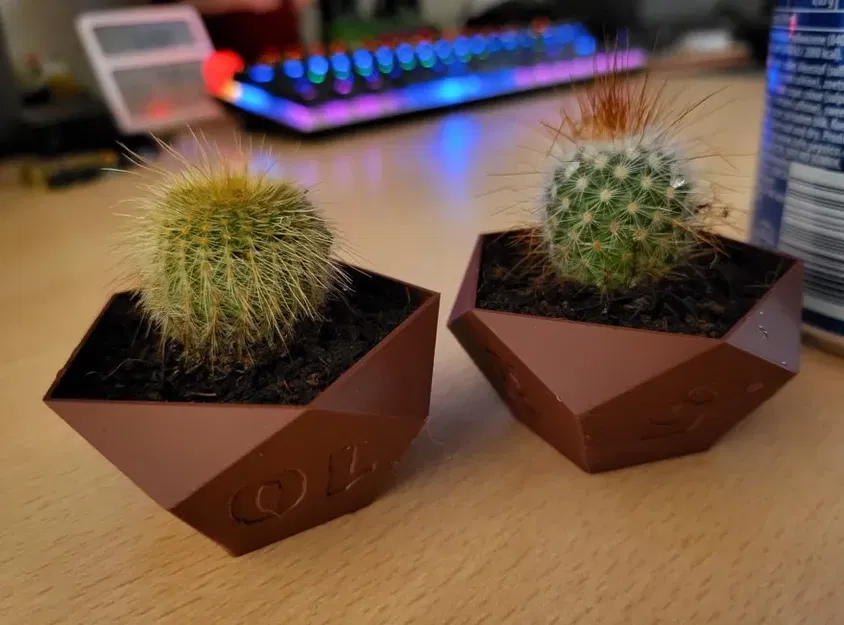 Bộ chậu cây hình xúc xắc cho trò chơi bàn RPG - Image 2