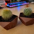Bộ chậu cây hình xúc xắc cho trò chơi bàn RPG - Thumbnail 2