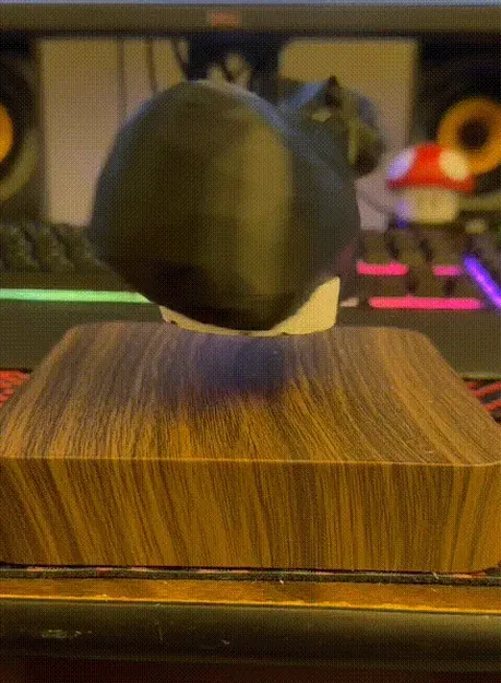 Mèo Maxwell nổi trên không trung - Hỗ trợ Bambu AMS - Image 1