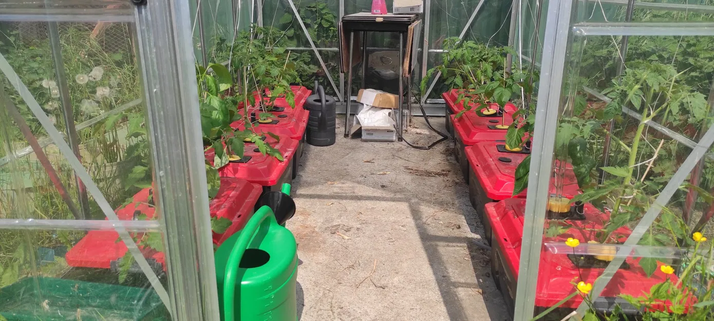 Phụ kiện cho phương pháp trồng cà chua Kratky thủy canh - Image 2