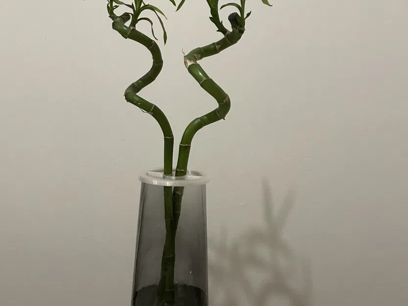 Giá đỡ cây trúc may mắn giữ thẳng lên đến hai cây - Image 1