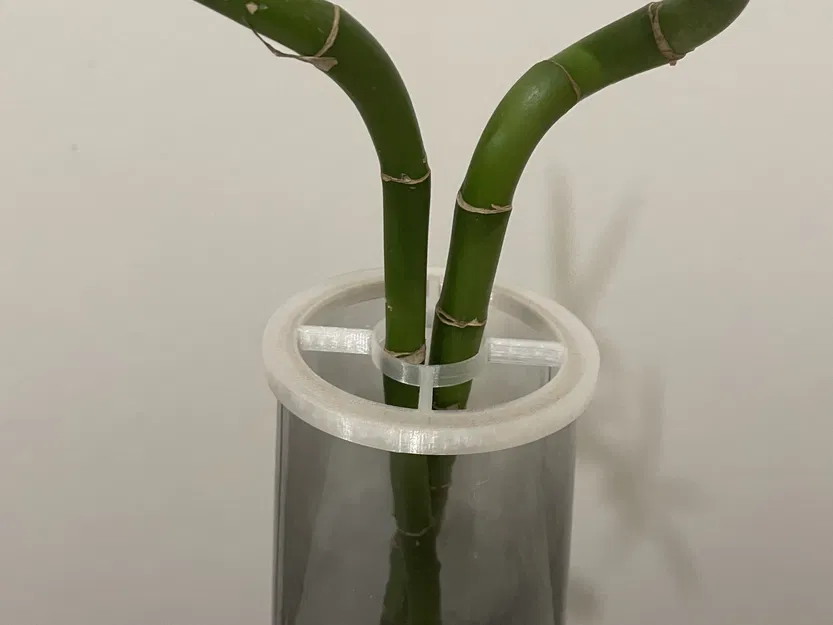 Giá đỡ cây trúc may mắn giữ thẳng lên đến hai cây - Image 2