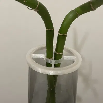 Giá đỡ cây trúc may mắn giữ thẳng lên đến hai cây