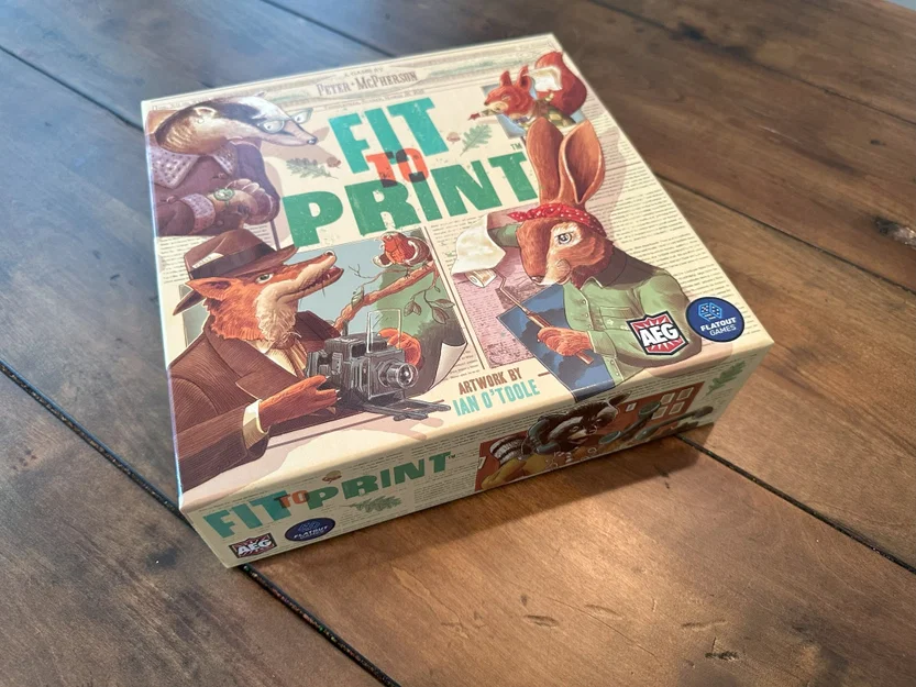 Insert in 3D cho trò chơi bàn Fit to Print - Image 3