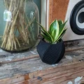 Chậu cây hình lục giác xoắn hiện đại có họa tiết bong bóng - Thumbnail 1