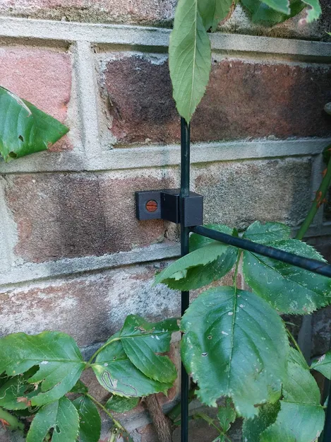 Giá đỡ khung cây bền bỉ cho khu vườn ngoài trời - Image 1