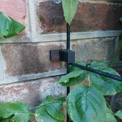 Giá đỡ khung cây bền bỉ cho khu vườn ngoài trời