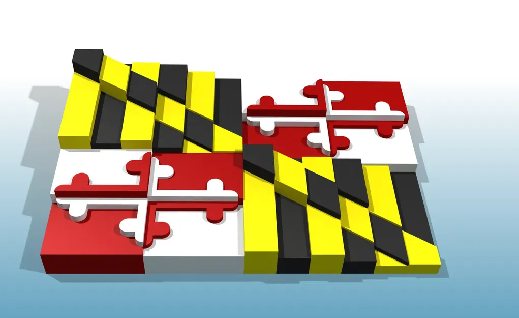 Cờ tiểu bang Maryland phiên bản 3D độc đáo - Image 1