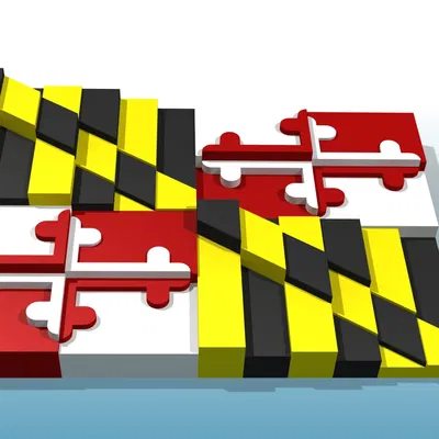 Cờ tiểu bang Maryland phiên bản 3D độc đáo