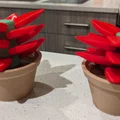 Cây xương rồng giả không cần tăm tre - Thumbnail 1