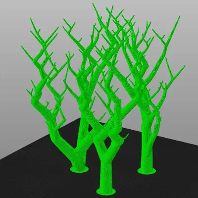 Cây trái tim với hỗ trợ hữu cơ đan xen