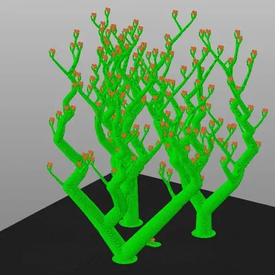 Cây trái tim với hỗ trợ hữu cơ đan xen