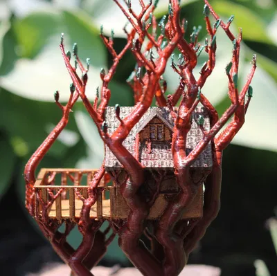 Cây cầu tổ chim hỗ trợ hữu cơ giữa hai cây