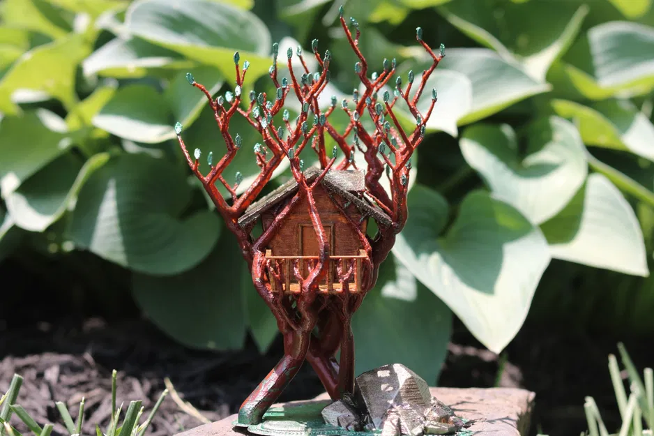 Cây cầu tổ chim hỗ trợ hữu cơ giữa hai cây - Image 2