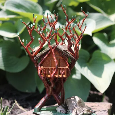 Cây cầu tổ chim hỗ trợ hữu cơ giữa hai cây