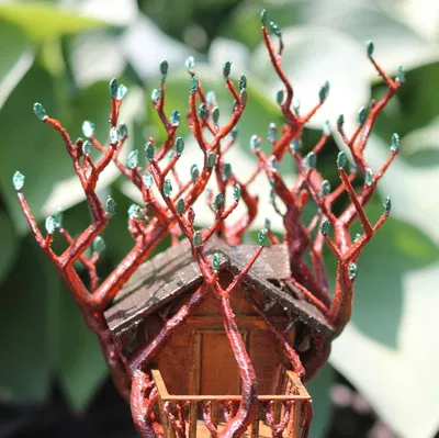 Cây cầu tổ chim hỗ trợ hữu cơ giữa hai cây