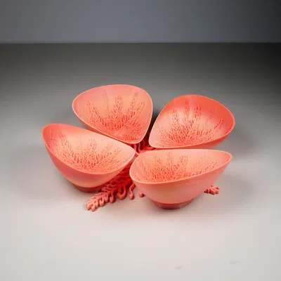 Bộ đĩa họa tiết tinh xảo với giá đỡ cho bốn chiếc