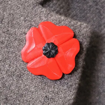 Hoa anh túc tưởng niệm cho Ngày Tưởng Niệm