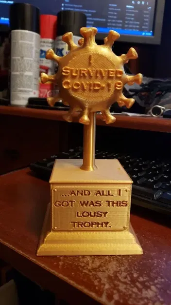 Cúp kỷ niệm "Tôi đã sống sót qua Covid-19 - Image 1