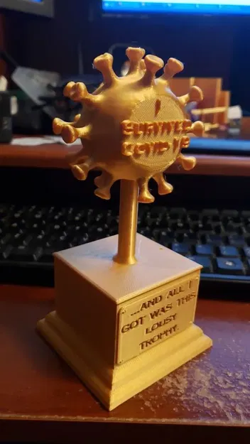 Cúp kỷ niệm "Tôi đã sống sót qua Covid-19 - Image 2