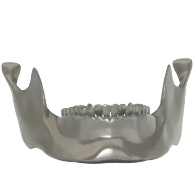 Giải phẫu hàm dưới người - Mô hình in 3D