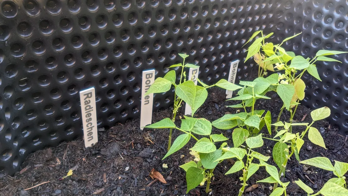 Biển chỉ dẫn rau củ và thảo mộc cho khu vườn - Image 2