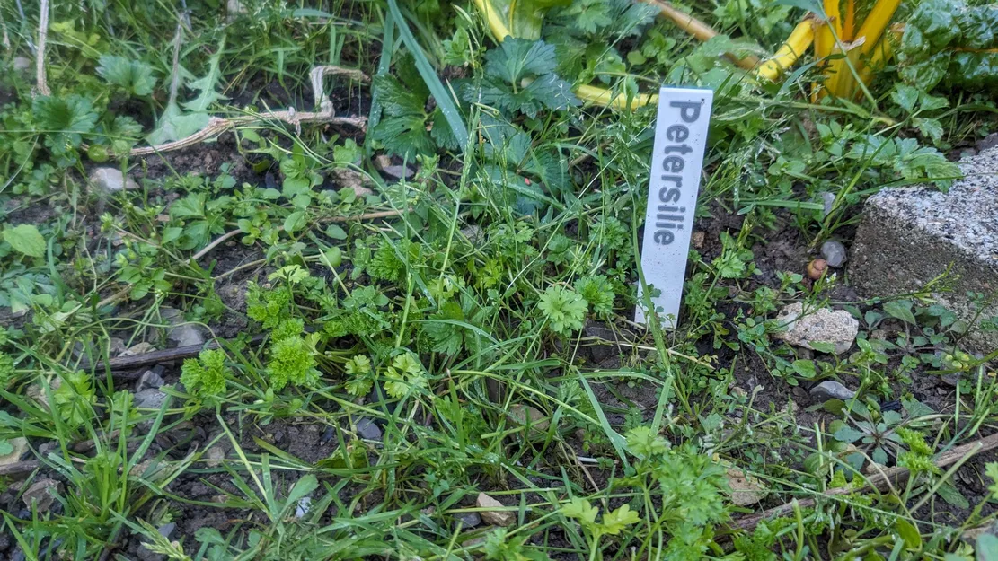 Biển chỉ dẫn rau củ và thảo mộc cho khu vườn - Image 3