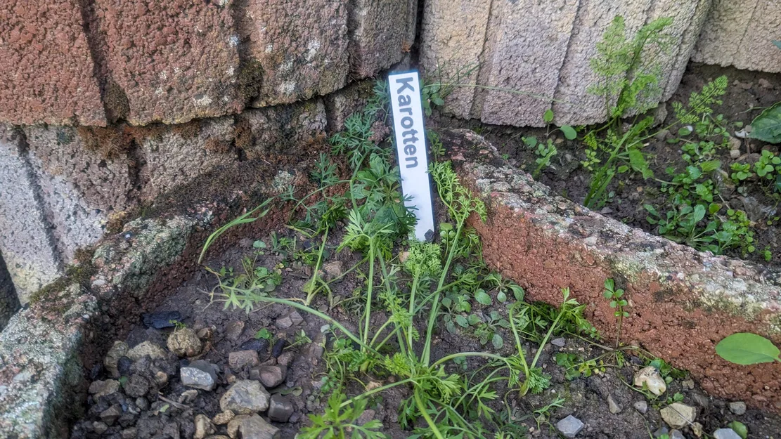 Biển chỉ dẫn rau củ và thảo mộc cho khu vườn - Image 4