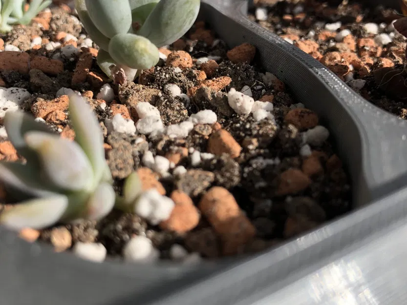 Chậu cây với ngôi nhà nhỏ giữa lòng chậu - Image 2