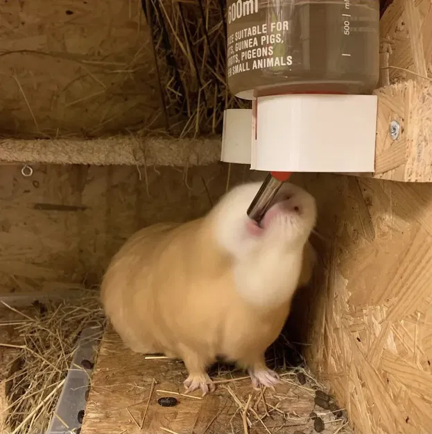 Giá đỡ bình nước cho chuột và thú cưng De Luxe d41,5 mm - Image 3