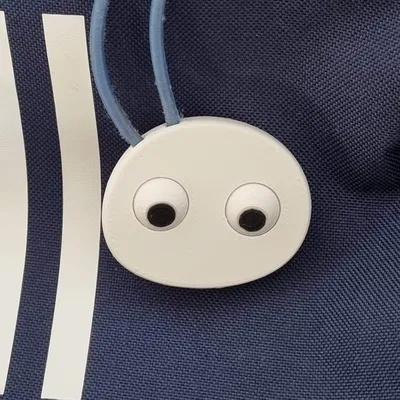 Đá cuội mắt lồi dễ thương có thể gắn vào túi